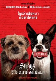 Strays (2023) ชีวิตหมาต้องไม่หมา Sound Track ซับไทย